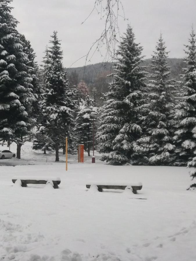 Hotel ČESKÁ FARMA Dolni Dvur Buitenkant foto