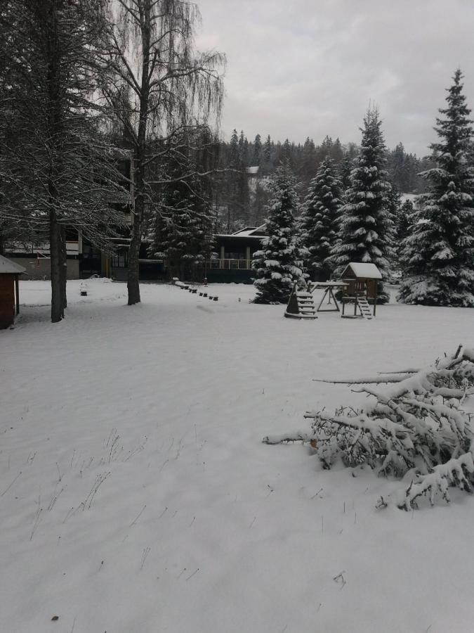 Hotel ČESKÁ FARMA Dolni Dvur Buitenkant foto