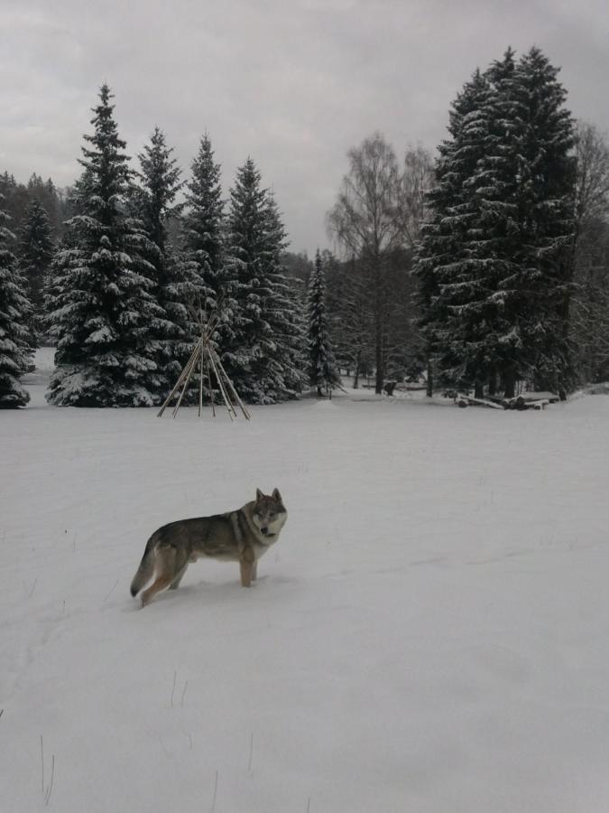Hotel ČESKÁ FARMA Dolni Dvur Buitenkant foto