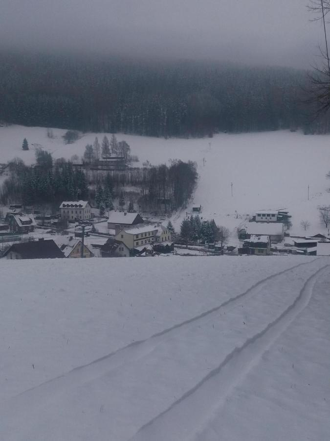 Hotel ČESKÁ FARMA Dolni Dvur Buitenkant foto