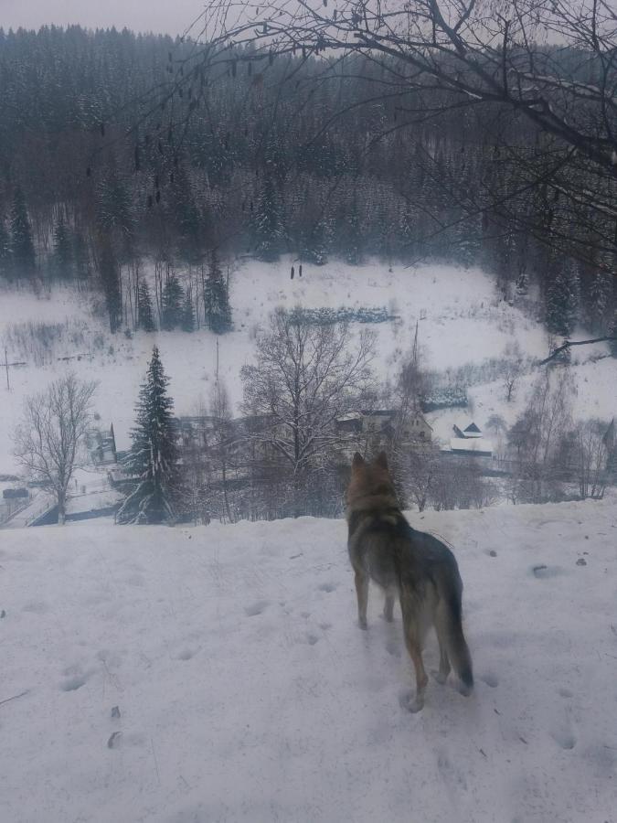 Hotel ČESKÁ FARMA Dolni Dvur Buitenkant foto